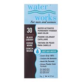 WATER WORKS | Powder Hair Color Black Cherry 30