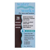 WATER WORKS | Powder Hair Color Burgundy 28